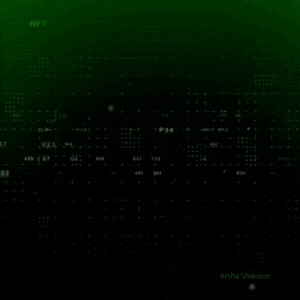 ارشا شکوری (1404-1403) - هوادار